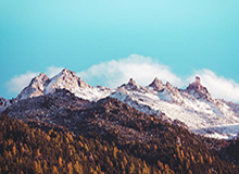 华体会官网：从入口到精彩的全场景娱乐之旅