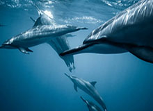 星空体育平台-广东舞时尚啦啦队更新社媒，分享赛场舞蹈日常